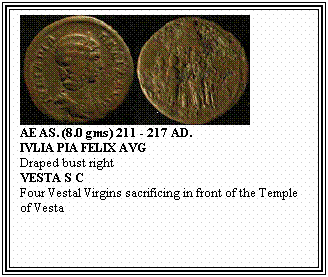 Text Box: AE AS. (8.0 gms) 211 - 217 AD.
IVLIA PIA FELIX AVG
Draped bust right
VESTA S C
Four Vestal Virgins sacrificing in front of the Temple of Vesta
